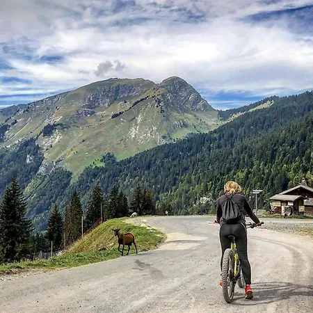 Micro-lodge, Le Petit Nid D'amour