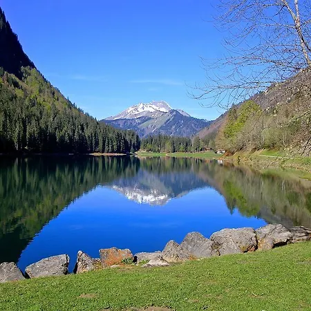 Micro-lodge, Le Petit Nid D'amour Montriond